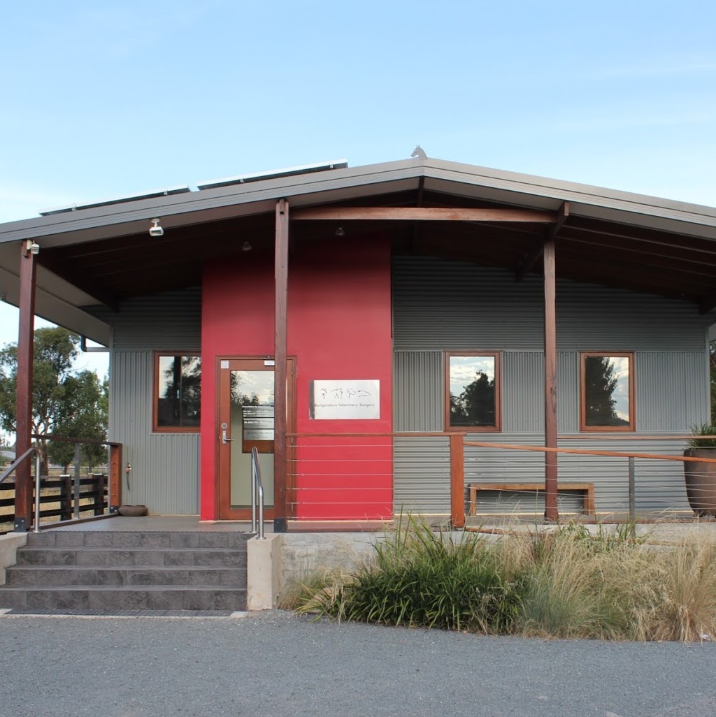 Bungendore Veterinary Surgery | veterinary care | 112B Molonglo St, Bungendore NSW 2621, Australia | 0262381133 OR +61 2 6238 1133