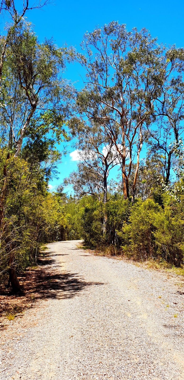 Karawatha Forest South | 303 Illaweena St, Drewvale QLD 4116, Australia | Phone: (07) 3403 8888