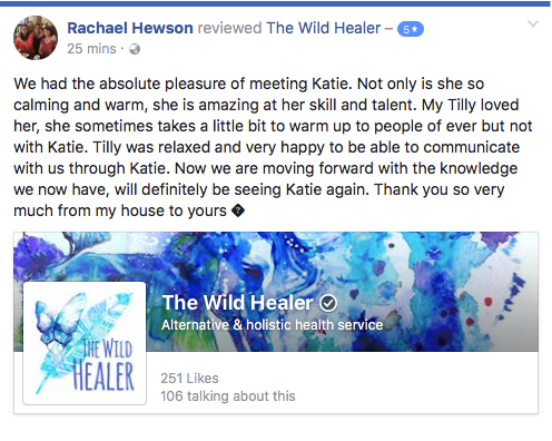 The Wild Healer | health | Matla Cres, Lyons NT 0810, Australia | 0432825850 OR +61 432 825 850