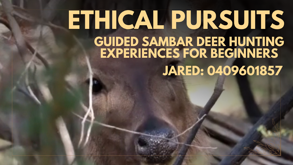 Ethical pursuits Sambar hunting guide/tutor | 37 Sydney Rd, Beechworth VIC 3747, Australia | Phone: 0409 601 857