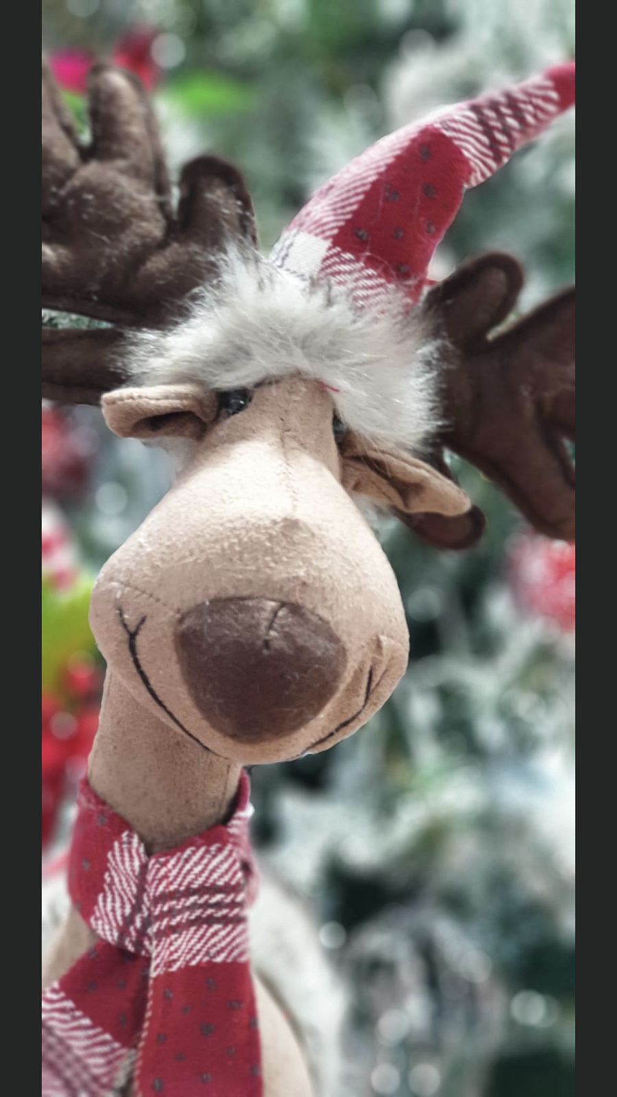 Rudolph & Co | Unit 2/12 Cameron Pl, Orange NSW 2800, Australia | Phone: 0400 471 967