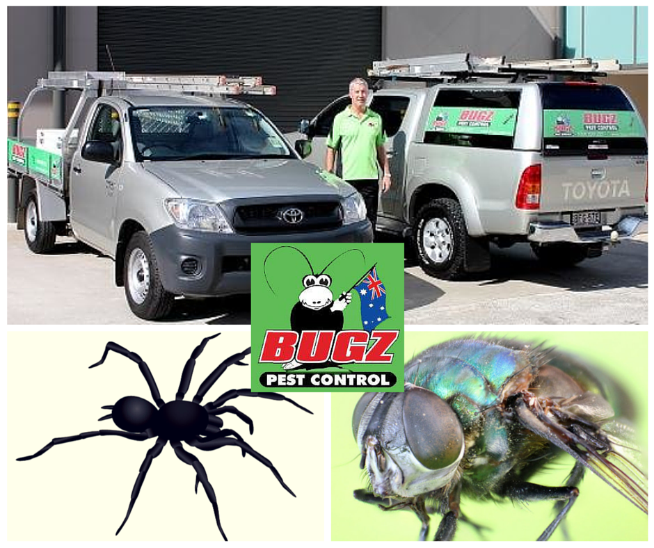 Bugz Pest Control | home goods store | 167 Belgrave Esplanade, Sylvania Waters NSW 2224, Australia | 1800020225 OR +61 1800 020 225
