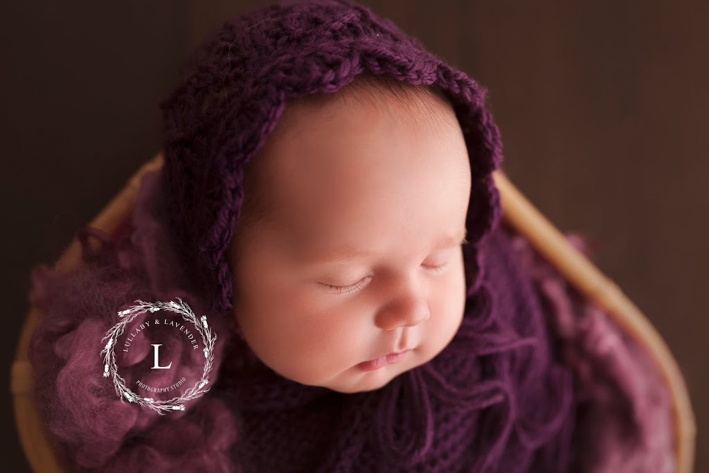 Lullaby and Lavender Photography Studio |  | 12 Burrell St, Flora Hill VIC 3550, Australia | 0412552391 OR +61 412 552 391
