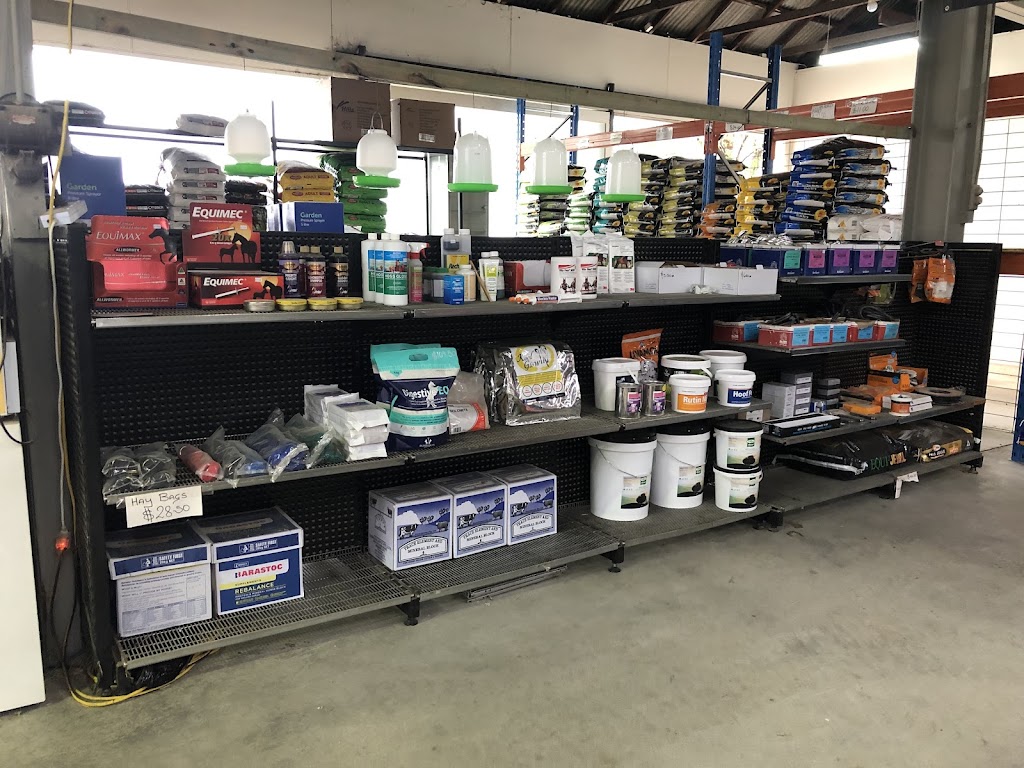 Benalla Rural Supplies | 19/21 Hannah St, Benalla VIC 3672, Australia | Phone: 0457 310 924 Benalla Rural Supplies | 19/21 Hannah St, Benalla VIC 3672, Australia | Phone: 0457 310 924