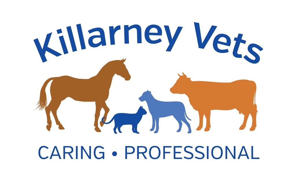 Killarney Veterinary Surgery | 36 Willow St, Killarney QLD 4373, Australia | Phone: (07) 4664 1344