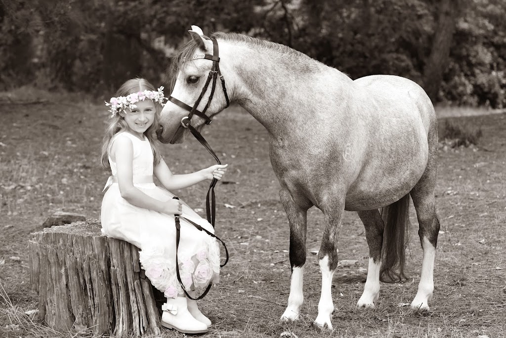 Goddess and Horse Equestrian photographic Art | 87 Mollison St, Malmsbury VIC 3446, Australia | Phone: 0466 063 121