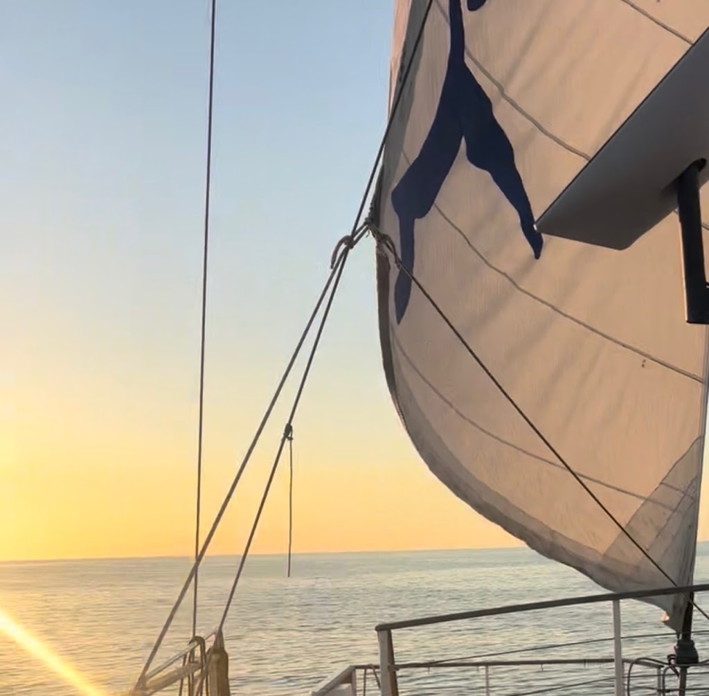 Voyo Charters | Seaworld Dr, Main Beach QLD 4217, Australia | Phone: 0439 018 701