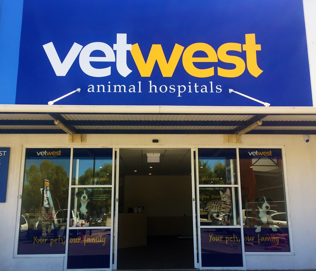 Vetwest Animal Hospitals Rockingham | 3-9 Enterprise Way, Rockingham WA 6168, Australia | Phone: (08) 9404 1145