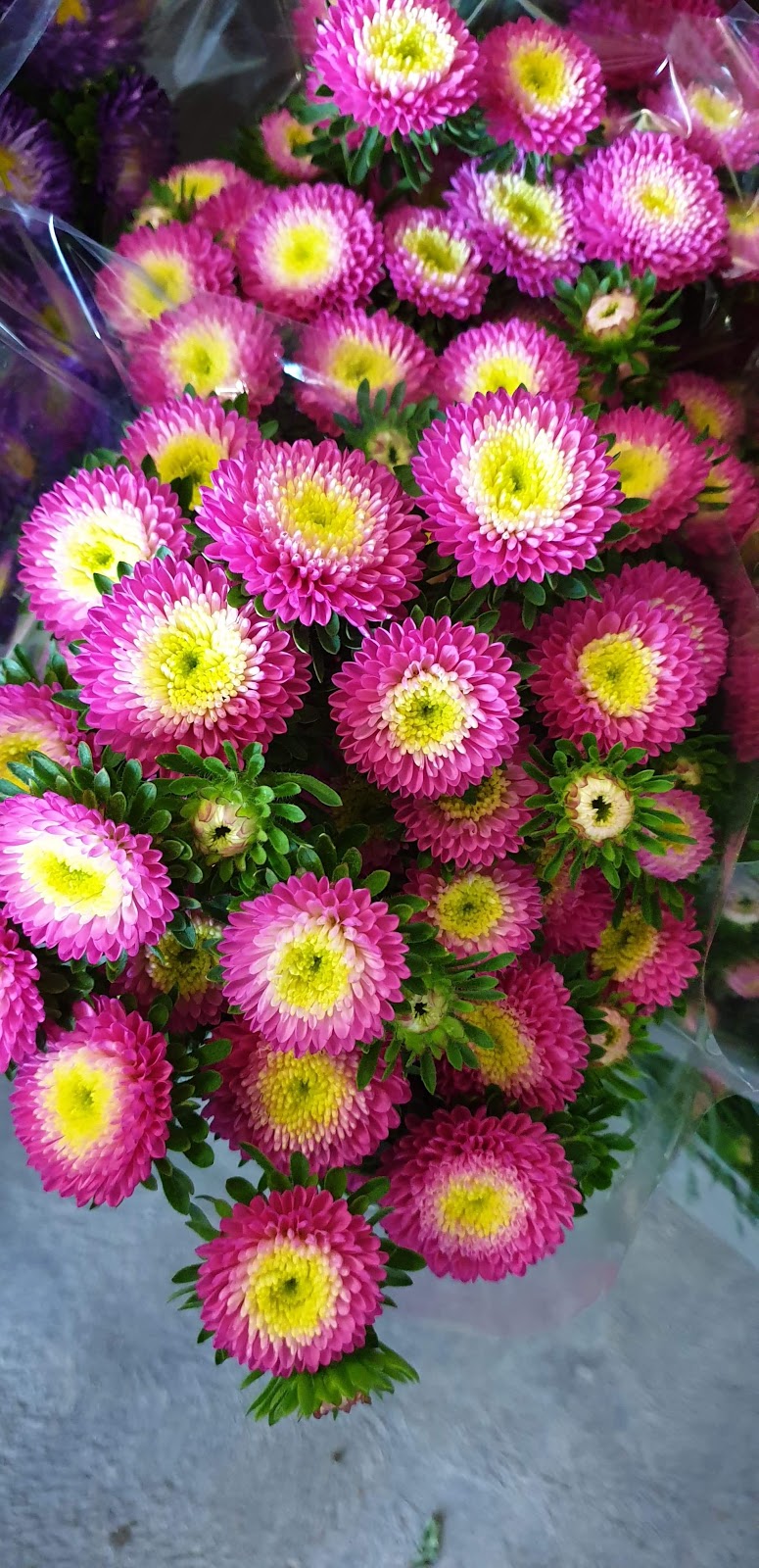 Two Wells Flowers | florist | 13 Dawkins Rd, Two Wells SA 5501, Australia | 0417828370 OR +61 417 828 370