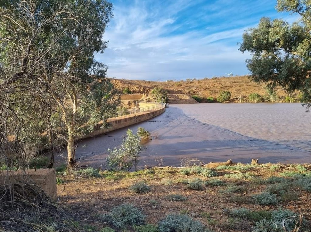 The Jump On Tour guide | 377 Chloride St, Broken Hill NSW 2880, Australia | Phone: 0421 325 825