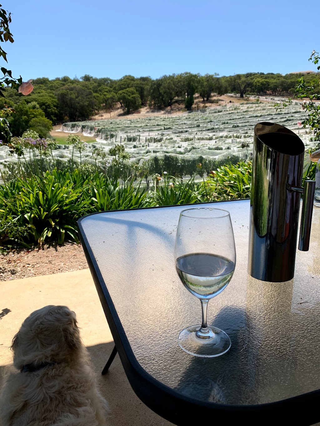 Cape Naturaliste Vineyard |  | 1 Coley Rd, Yallingup WA 6282, Australia | 0897552538 OR +61 8 9755 2538