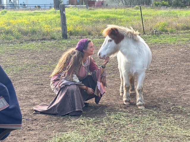 Cosmic Equine | 7 Saunders Rd, Oakville NSW 2765, Australia | Phone: 0432 514 846