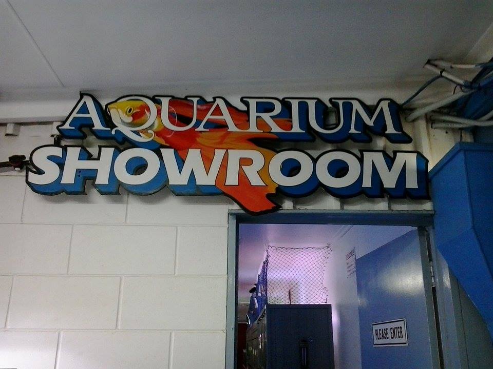 Sea Base Aquariums | 67 Bells Rd, Woongarra QLD 4670, Australia | Phone: (07) 4151 3966