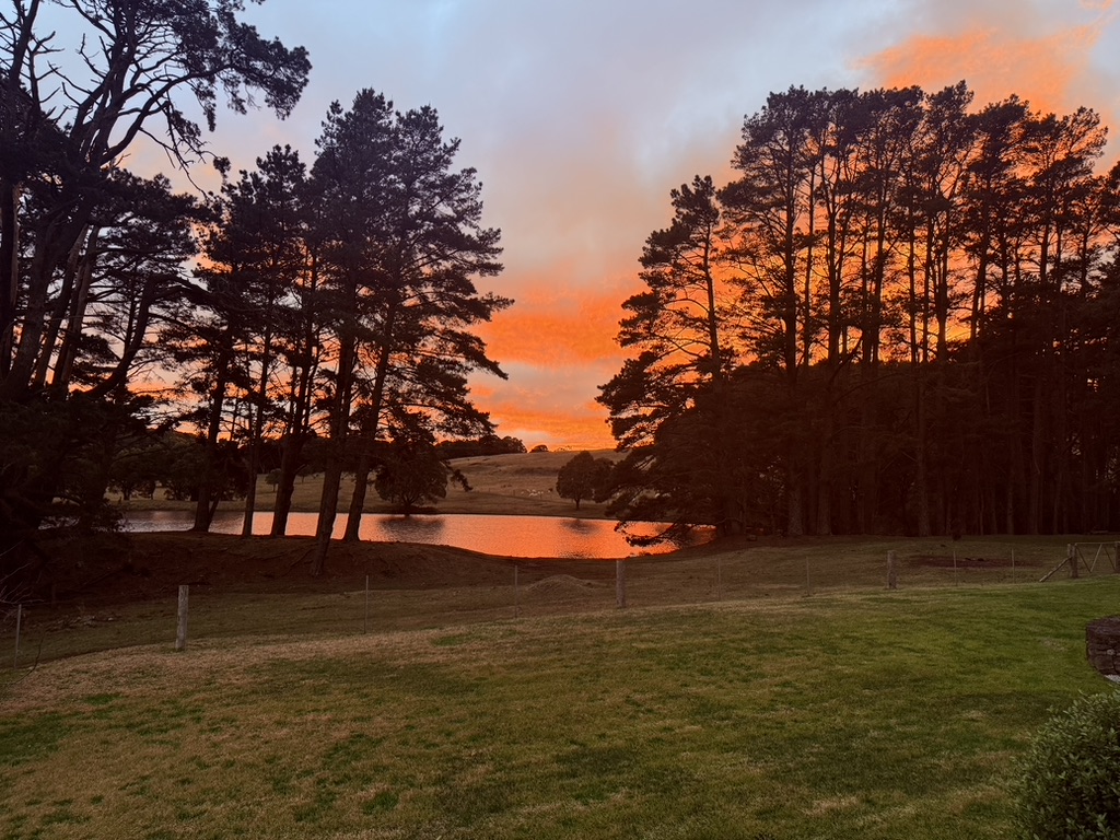 Clavering Hill | 8 East St, Robertson NSW 2577, Australia | Phone: 0432 188 775