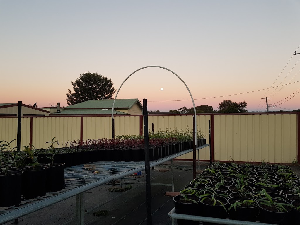 The Garden Bed |  | Kearsley NSW 2325, Australia | 0435814810 OR +61 435 814 810