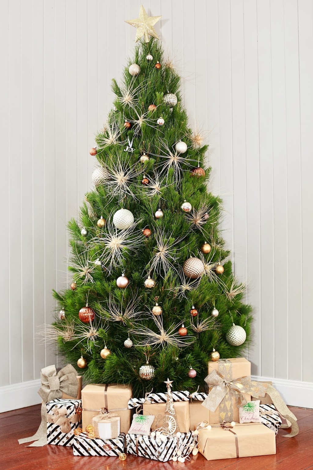 MERRY CHRISTMAS TREES | 329 Mons Rd, Forest Glen QLD 4556, Australia | Phone: (07) 5641 2541