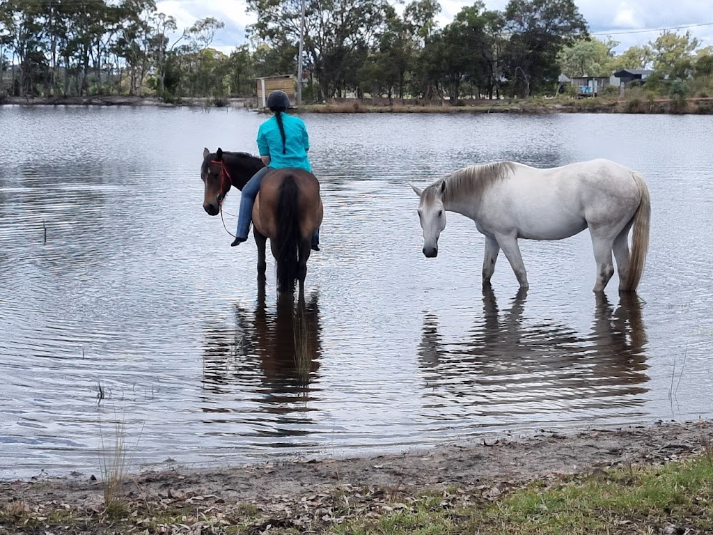 Hands On Horses Australia | 82 Border Gate Rd, Cottonvale QLD 4375, Australia | Phone: 0417 579 264