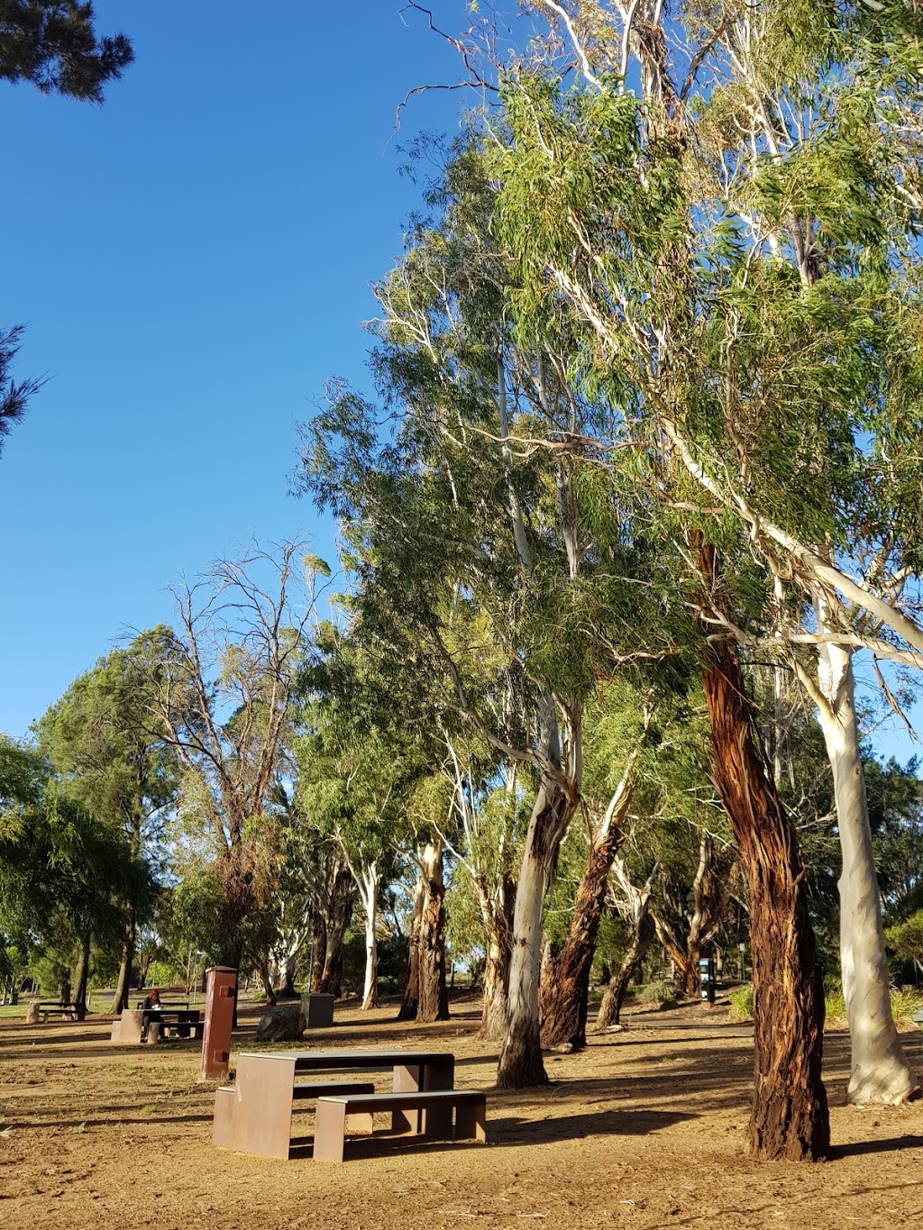 Ginninderra parkrun | John Knight Memorial Park, Townsend Pl, Canberra ACT 2616, Australia