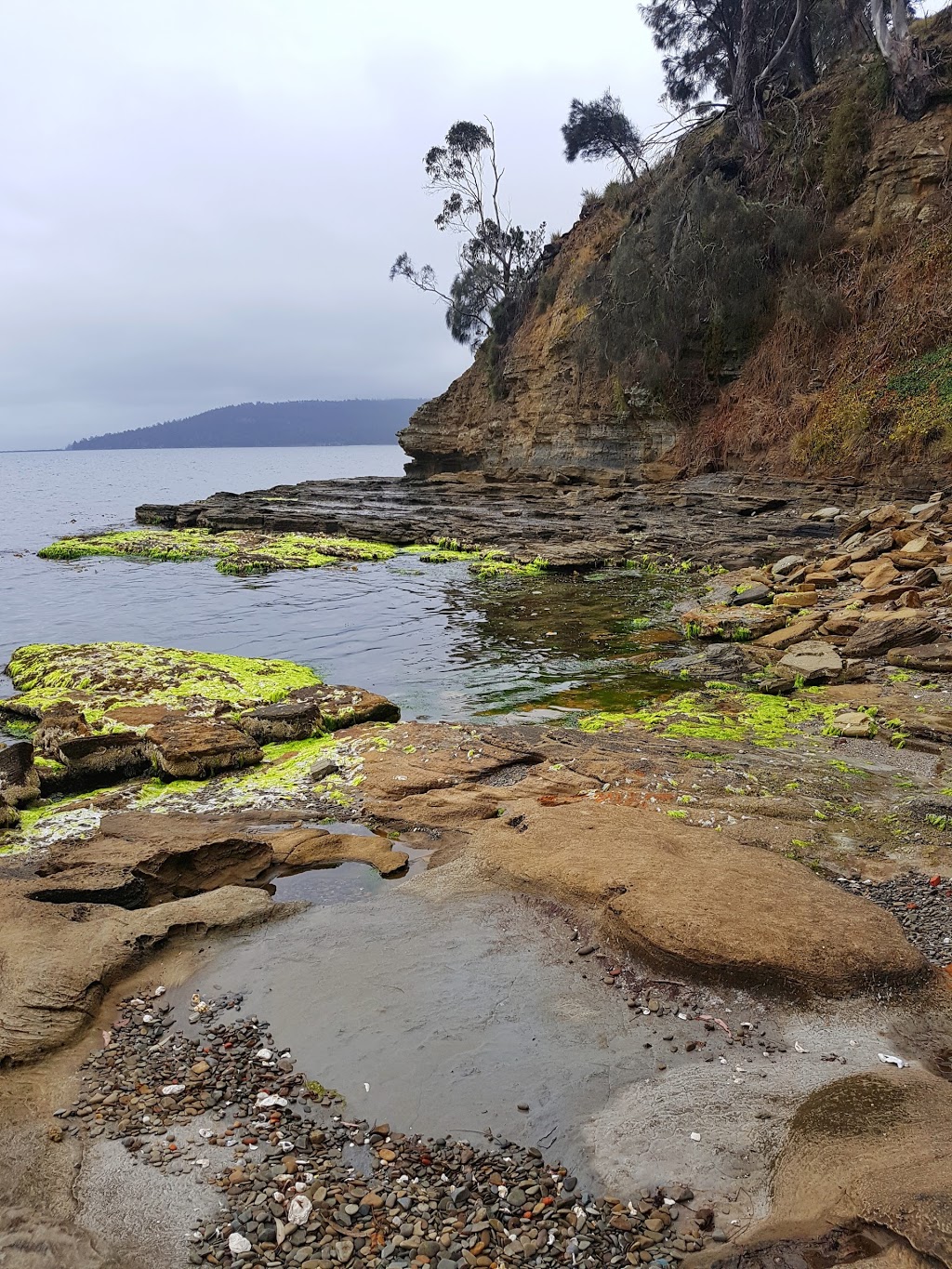 Tinderbox Marine Reserve | park | 48 Fergusson Ave, Tinderbox TAS 7054, Australia