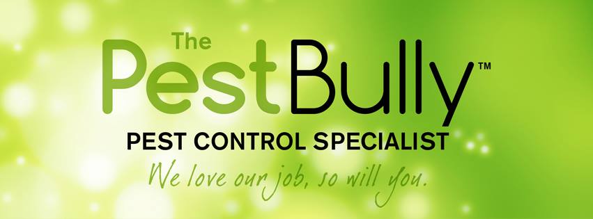 The Pest Bully | Shop 25/120-124 Birkdale Rd, Birkdale QLD 4159, Australia | Phone: 1300 701 401