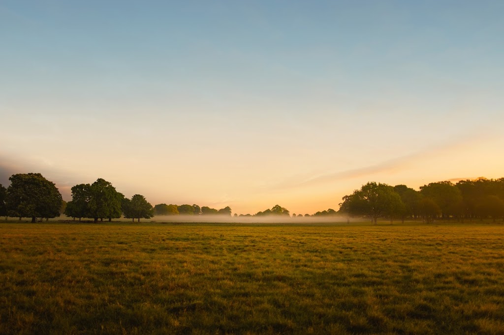 Myrtle Estate | 85 Myrtle Creek Ave, Tahmoor NSW 2573, Australia | Phone: 0449 722 323