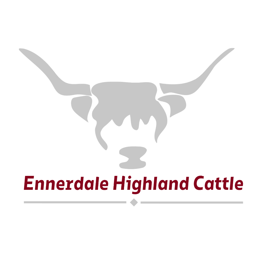 Ennerdale Highland Cattle - Open by Appointment only | food | Erinmist, 202 White Flag Rd, Binalong NSW 2584, Australia | 0261004326 OR +61 2 6100 4326