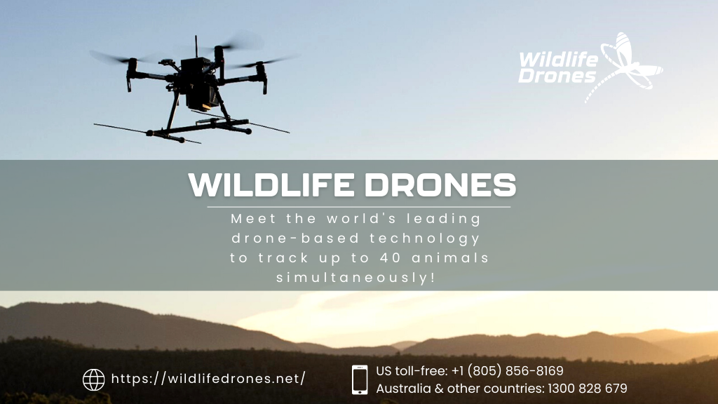 Wildlife Drones - Animal Tracking | point of interest | Gould Building, Daley Rd, Acton ACT 2601, Australia | 1300828679 OR +61 1300 828 679