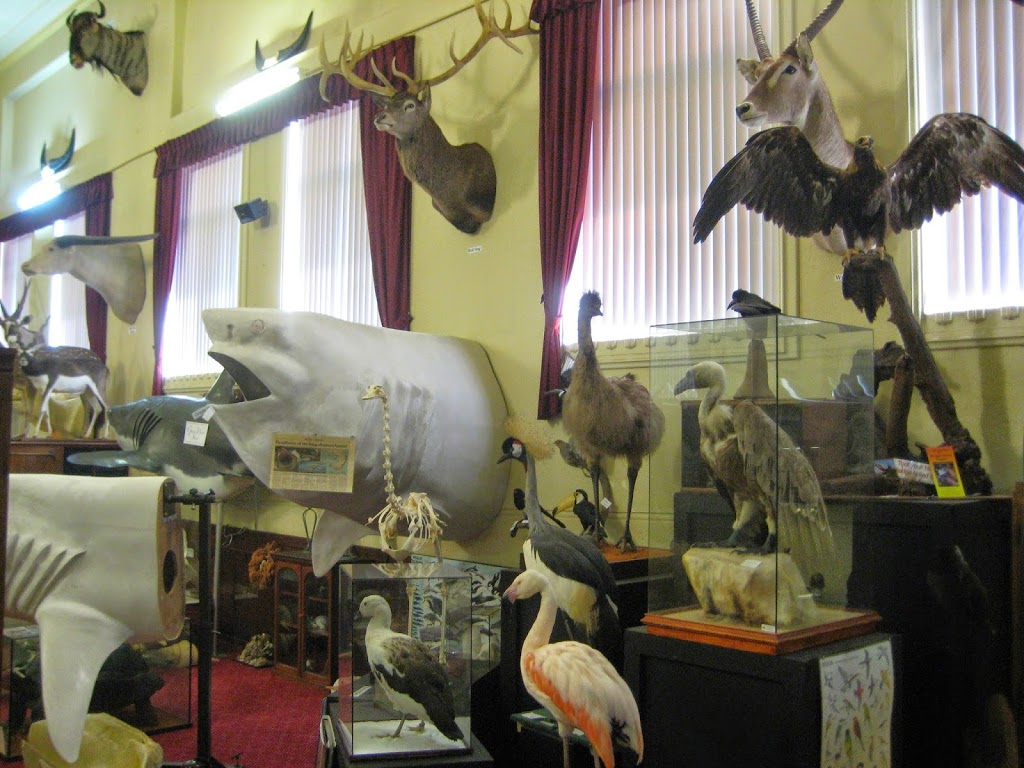 Academy of Taxidermy | 131 James St, Guildford WA 6935, Australia | Phone: (08) 9377 3884