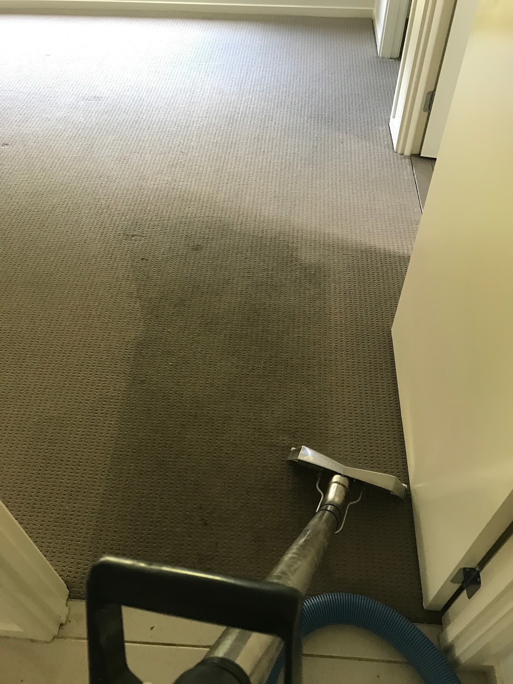 Newcastle carpet and tile cleaning | 51 Lambton Rd, Waratah NSW 2298, Australia | Phone: (02) 4009 1571