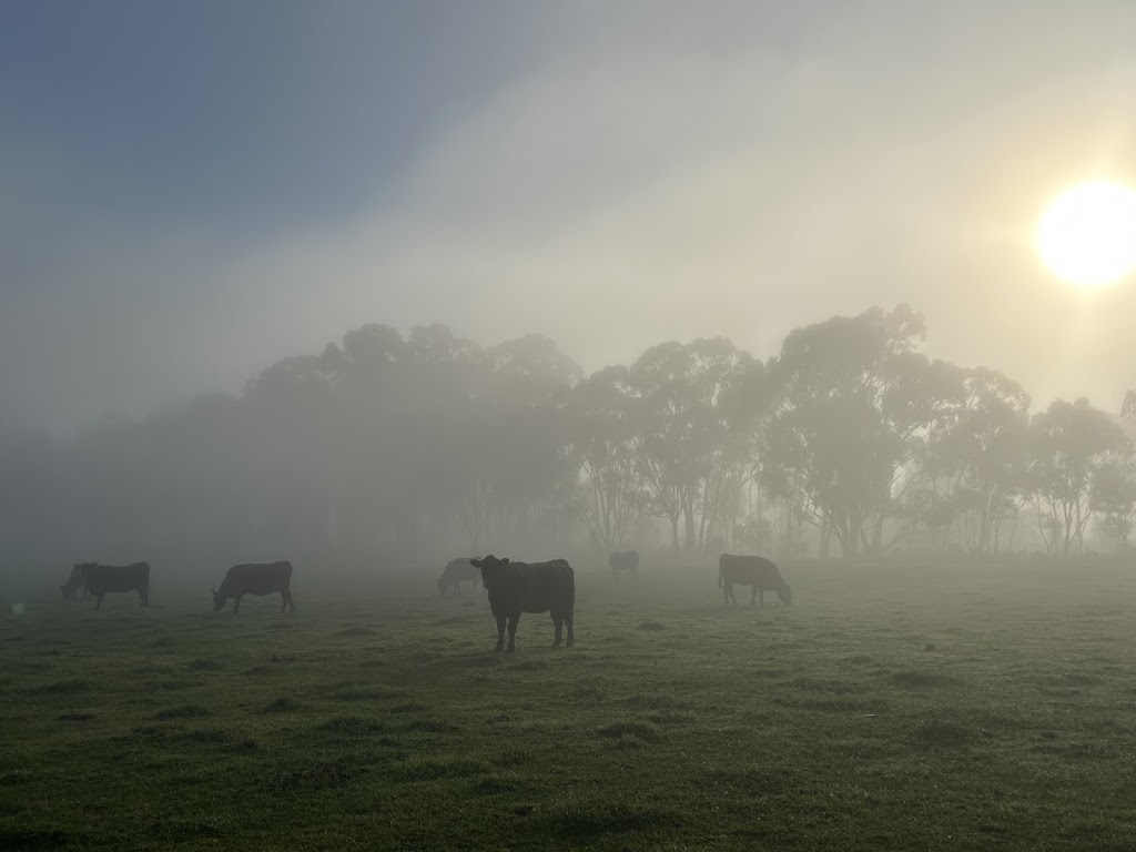 Arcadia Farms | 291 Goulburn Valley Hwy, Seymour VIC 3660, Australia | Phone: 0416 420 684