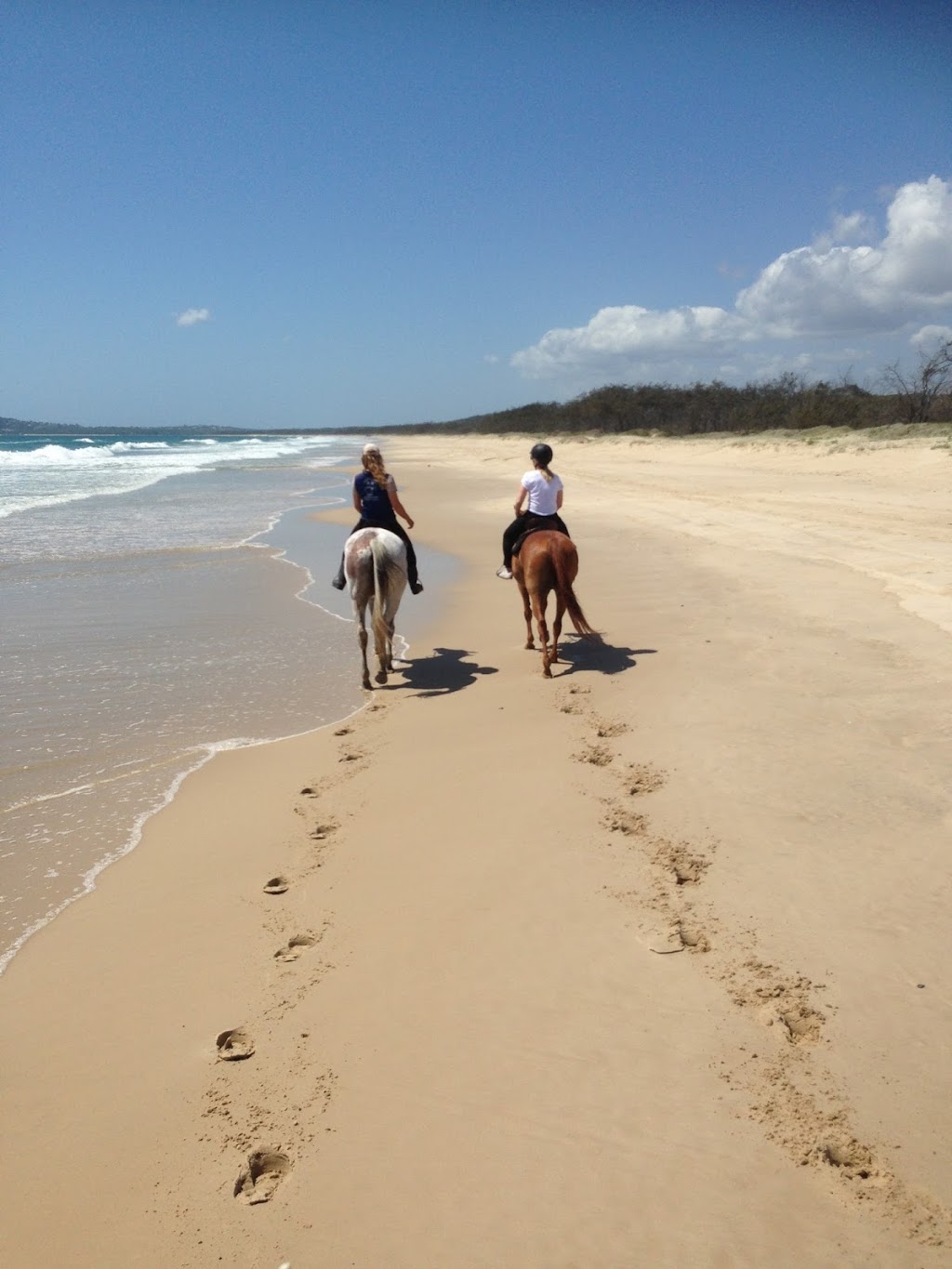 Equathon Horse Riding | travel agency | Esplanade, Noosa North Shore QLD 4565, Australia | 0754742665 OR +61 7 5474 2665