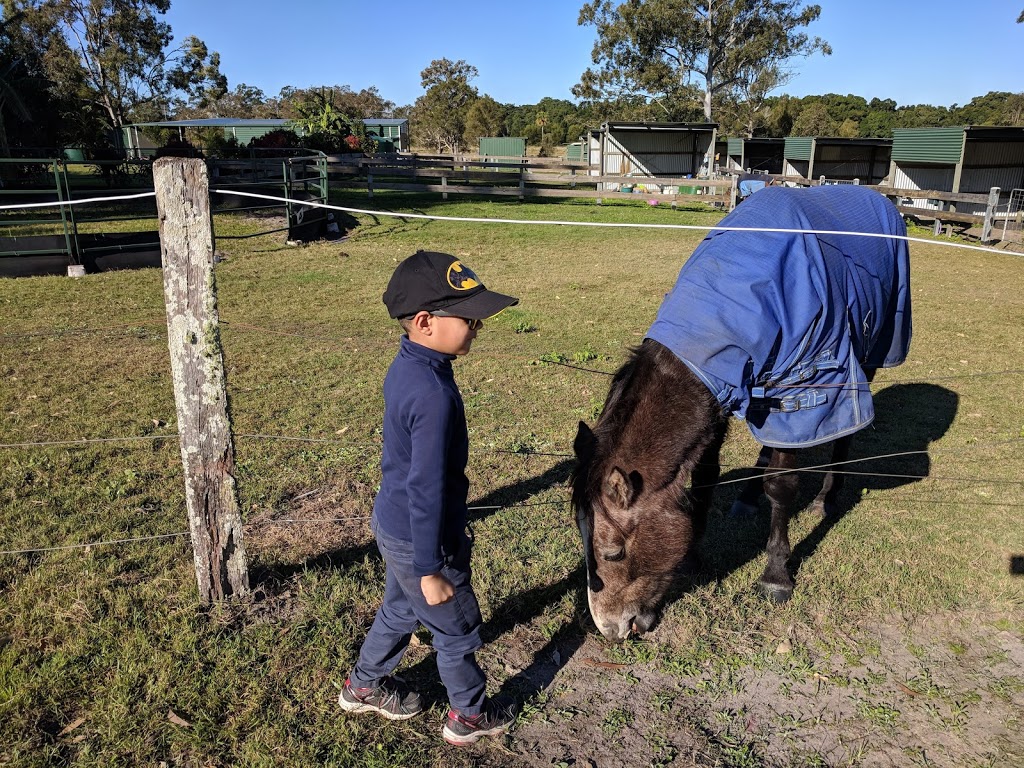 Strawberry Picking | 224 Laxton Rd, Palmview QLD 4553, Australia