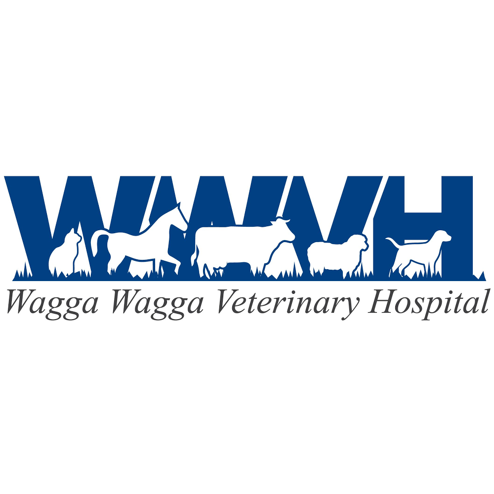 Wagga Wagga Veterinary Hospital | 140 Broadway St, Junee NSW 2663, Australia | Phone: (02) 6924 1212