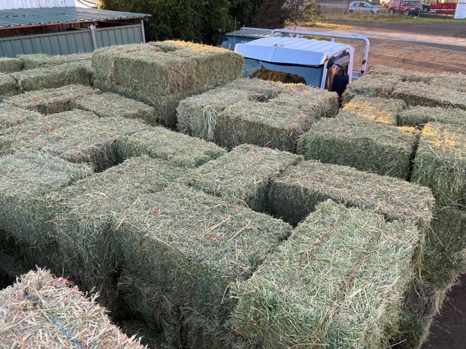 Dillon Rural | 160 Nancy Bird Walton Dr, Kew NSW 2439, Australia | Phone: (02) 6519 8601