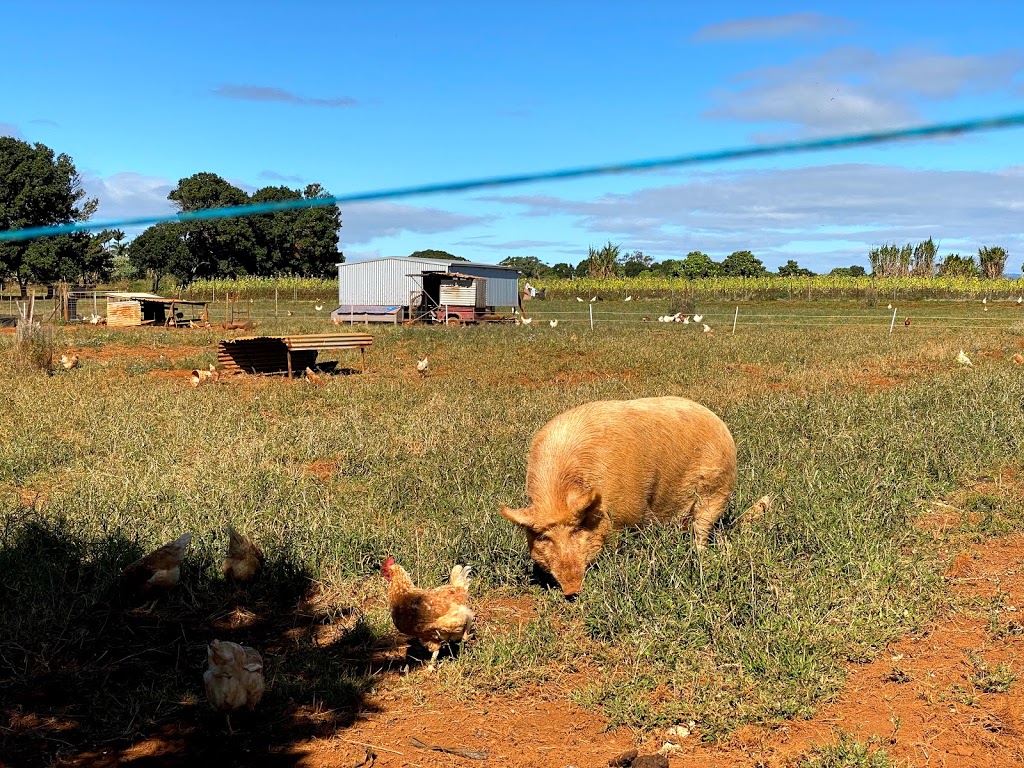 Farm & Co |  | 529 Cudgen Rd, Cudgen NSW 2487, Australia | 0266932196 OR +61 2 6693 2196