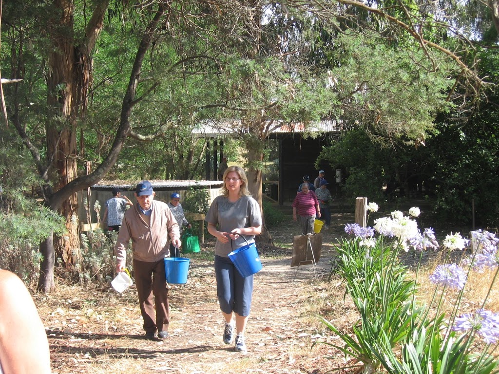 Summerberries Blueberry Farm | 39 Two Hills Rd, Glenburn VIC 3717, Australia | Phone: (03) 5797 8386