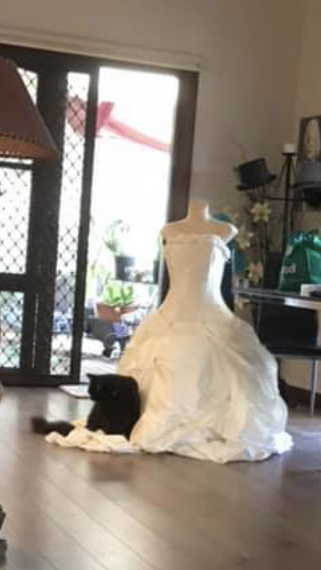 Karens Fancy Dress | 16 Watts Rd, Nyora VIC 3987, Australia | Phone: 0401 220 737