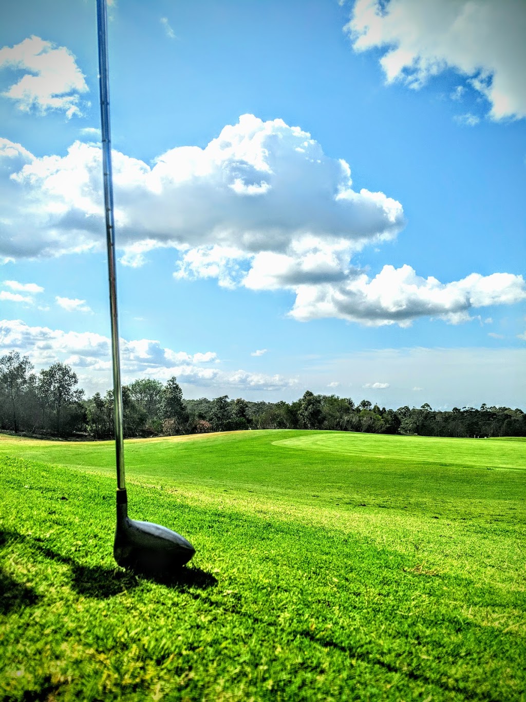 The Ridge Golf Course & Driving Range |  | New Illawarra Rd &, Recreation Dr, Barden Ridge NSW 2234, Australia | 0295414960 OR +61 2 9541 4960