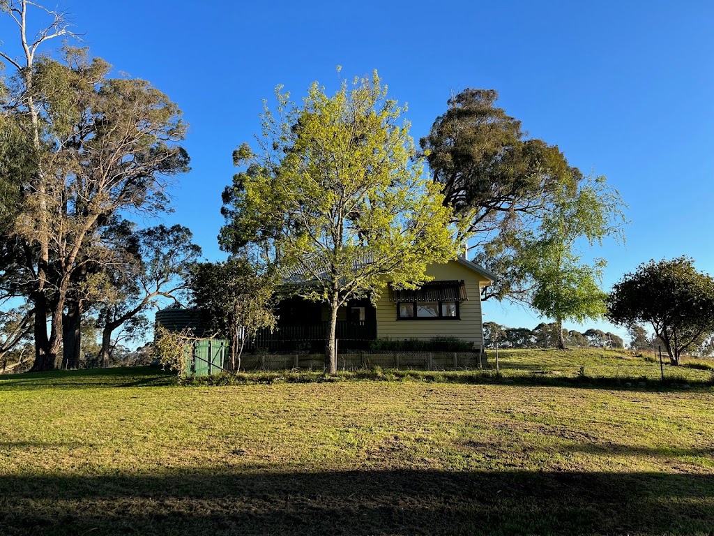 Ashlan Farm | 1035 Bonnie Doon Rd, Boho South VIC 3669, Australia | Phone: 0428 713 750