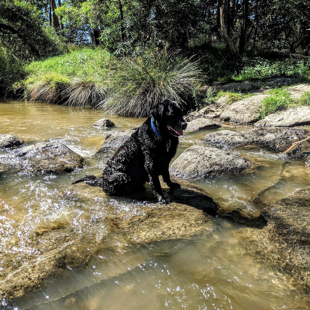 Leash free Dog Area | park | Lilydale VIC 3140, Australia