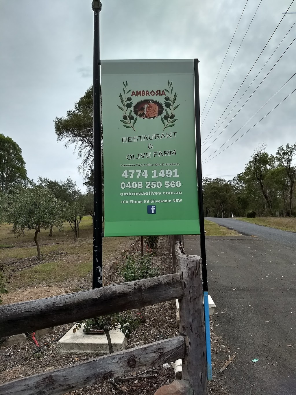 Ambrosia Olive Farm | 100 Eltons Rd, Silverdale NSW 2752, Australia | Phone: (02) 4774 1491
