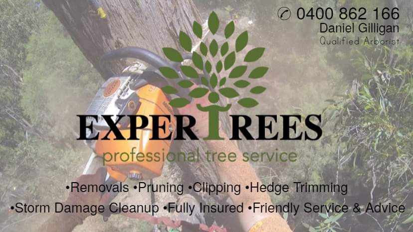 Expertrees Professional Tree Service | Pascoe Ave, Croydon VIC 3136, Australia | Phone: 0400 862 166