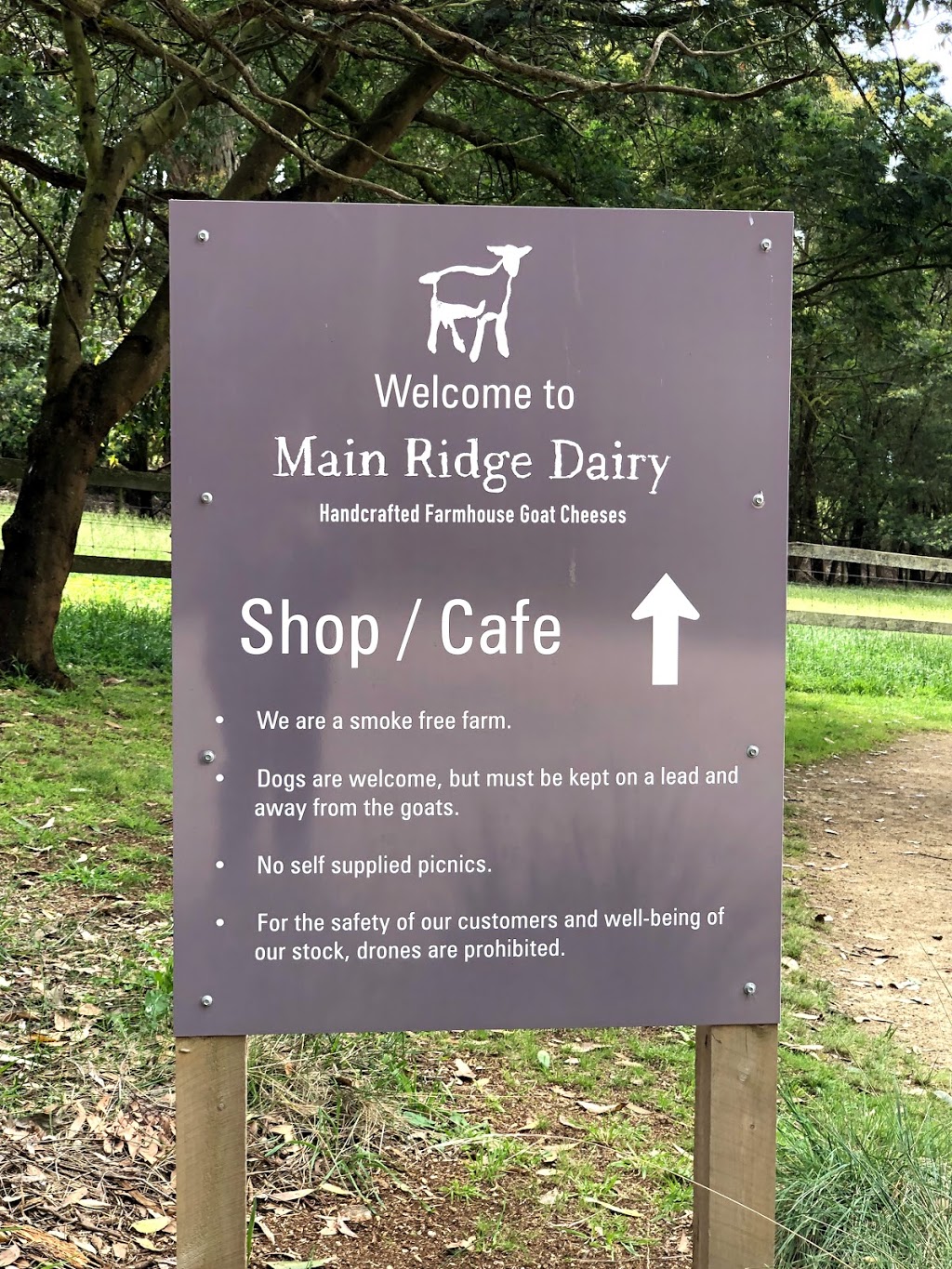 Main Ridge Dairy PTY Ltd. | cafe | 295 Main Creek Rd, Main Ridge VIC 3928, Australia | 0359896622 OR +61 3 5989 6622