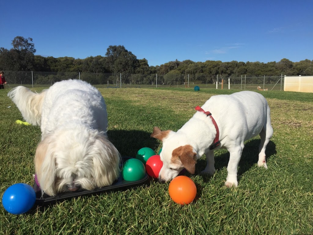 Khatala Pet Lodge | 20 Bush Rtt, Nambeelup WA 6207, Australia | Phone: 0410 396 936