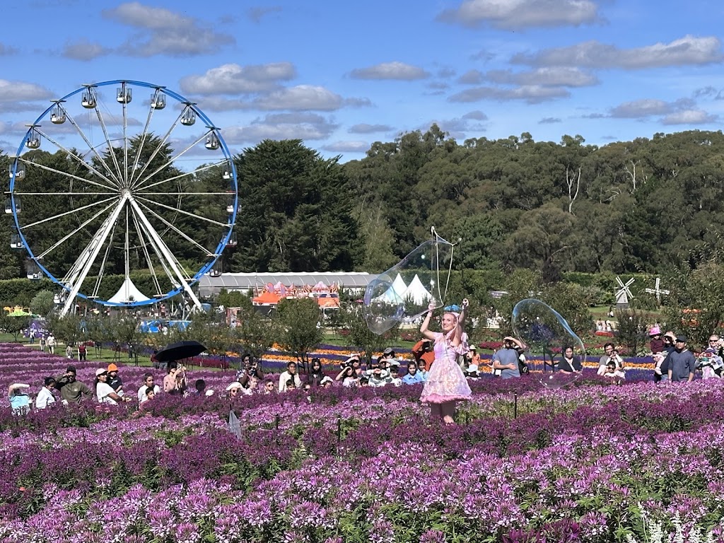 Tesselaar Kabloom Festival | 357 Monbulk Rd, Silvan VIC 3795, Australia | Phone: (03) 9737 7722