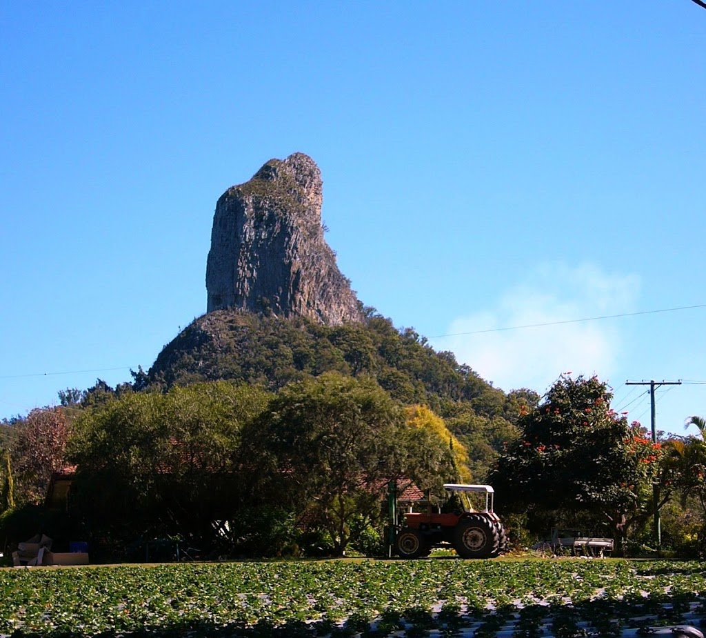 CrookNeck Retreat | 2194 Old Gympie Rd, Glass House Mountains QLD 4518, Australia | Phone: 0447 711 230