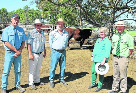 Taronga Poll Herefords |  | 272 Paschendale-Tahara Rd, Paschendale VIC 3315, Australia | 0466015178 OR +61 466 015 178