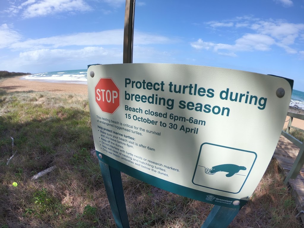 Turtle Trail | Esplanade, Burnett Heads QLD 4670, Australia