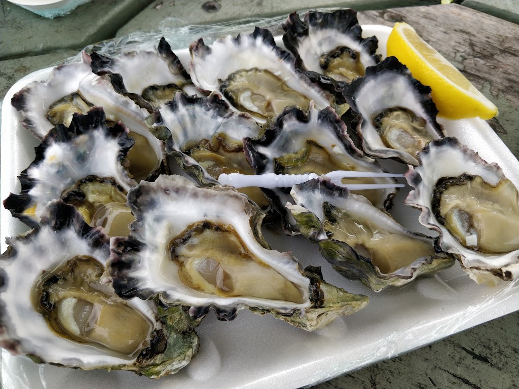 Cole Bros Oysters |  | 9 Barclay St, Karuah NSW 2324, Australia | 0456978377 OR +61 456 978 377