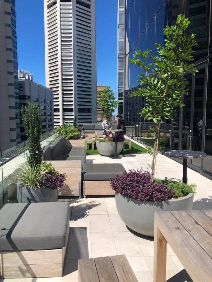 TLC Works and TLC Indoor Gardens | 603-613 Londonderry Rd, Londonderry NSW 2753, Australia | Phone: 1300 852 360